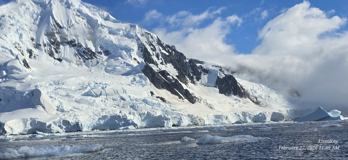 LissaKay - Can't stop the signal, Mal tweet media