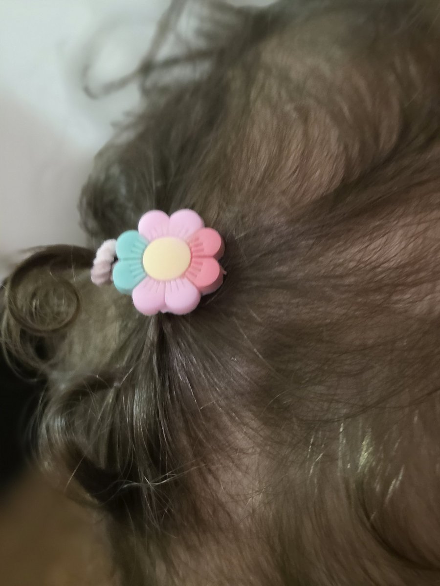 panir çoràh tweet media