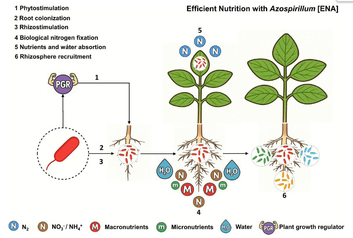 Martin Oesterheld tweet media
