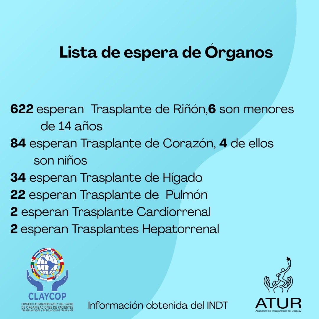 ATUR Trasplantados tweet media