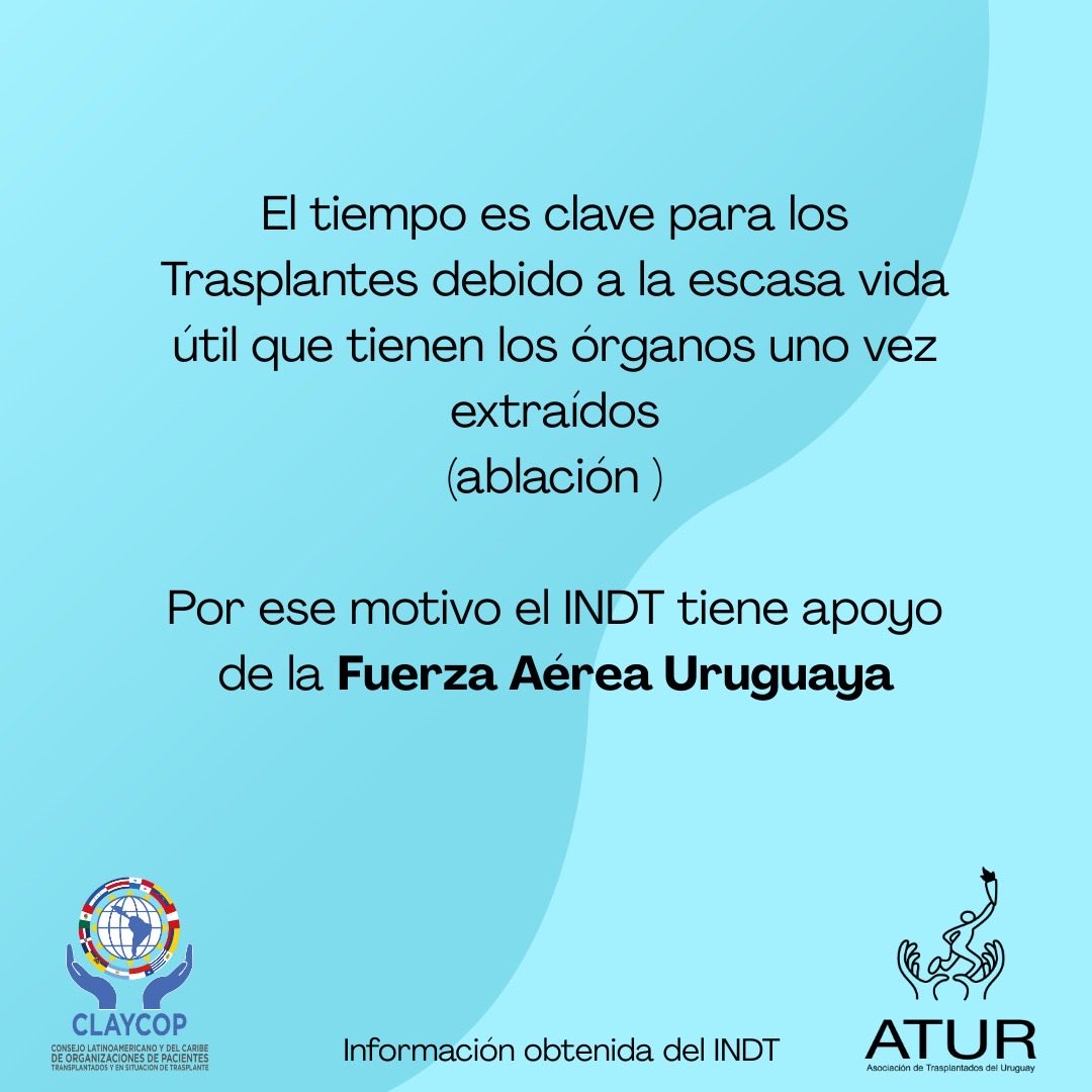 ATUR Trasplantados tweet media