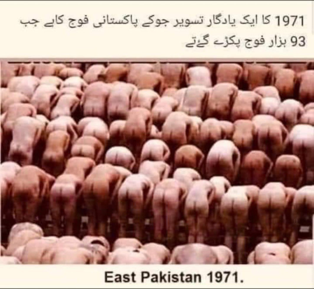 AfghanSafe815's tweet photo. @ZarrarPak Tom hara 75 Sal ka tarikhe hai 🇵🇰👈😁🤣🤣 https://t.co/jdkRNBpfYb