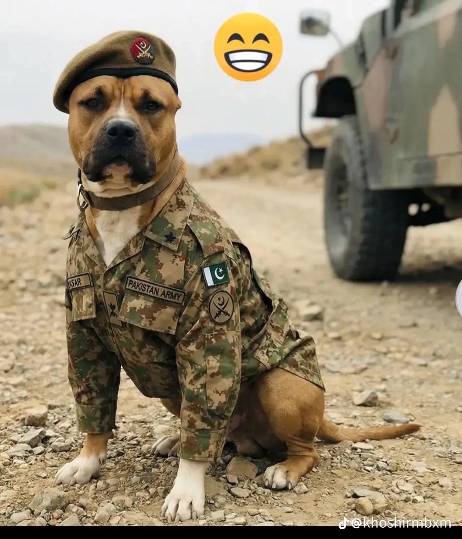 AfghanSafe815's tweet photo. @ZarrarPak Tom hara 75 Sal ka tarikhe hai 🇵🇰👈😁🤣🤣 https://t.co/jdkRNBpfYb