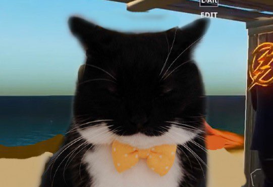 Dr Fahrenheit tweet media