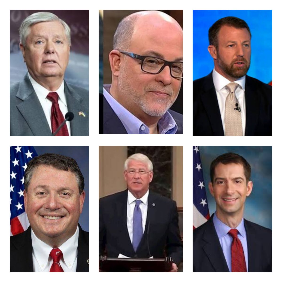 Petrichor tweet media