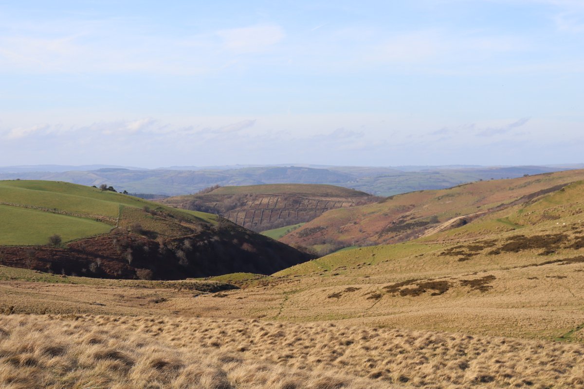 KD 🏴󠁧󠁢󠁷󠁬󠁳󠁿 tweet media