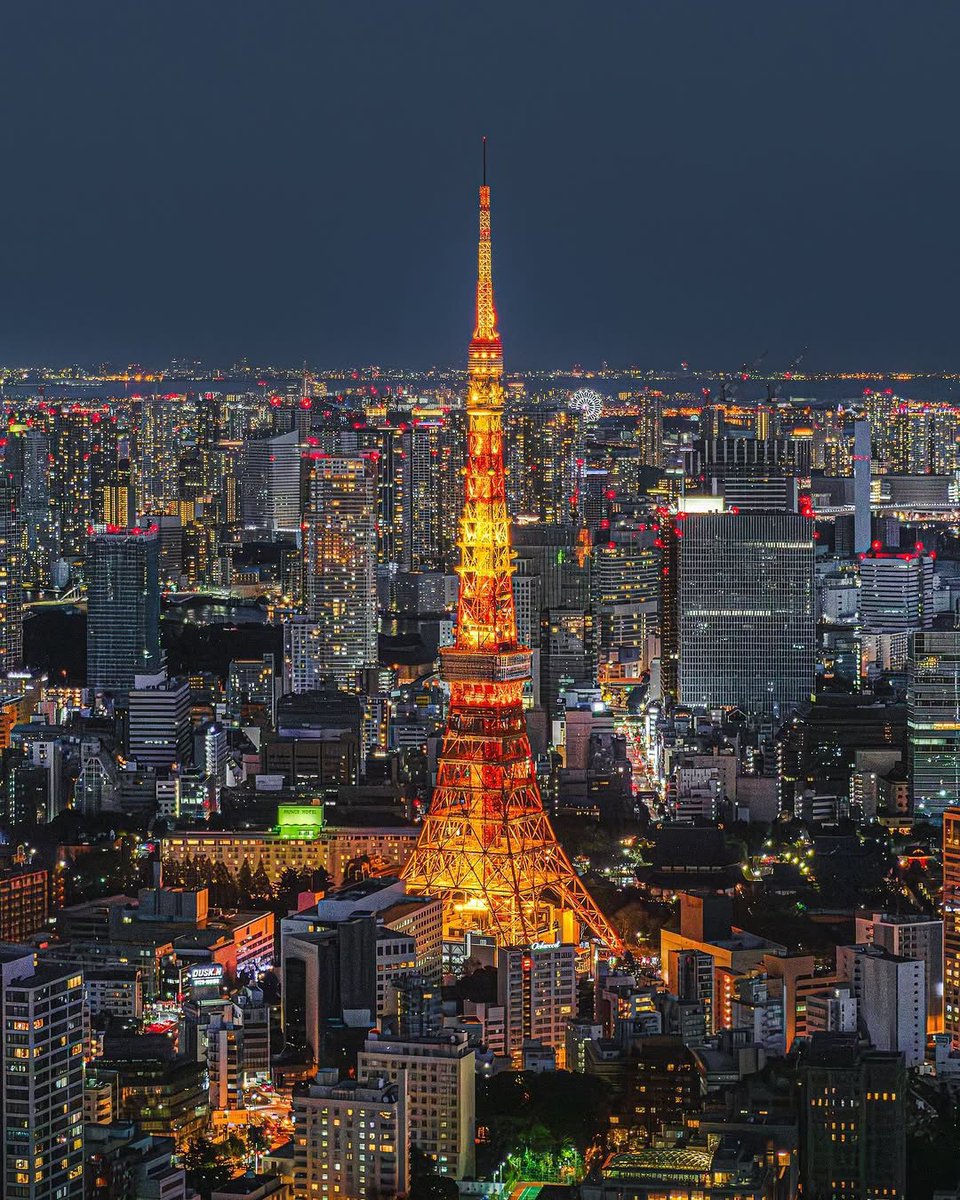 Tokyo, Japan. 🗼