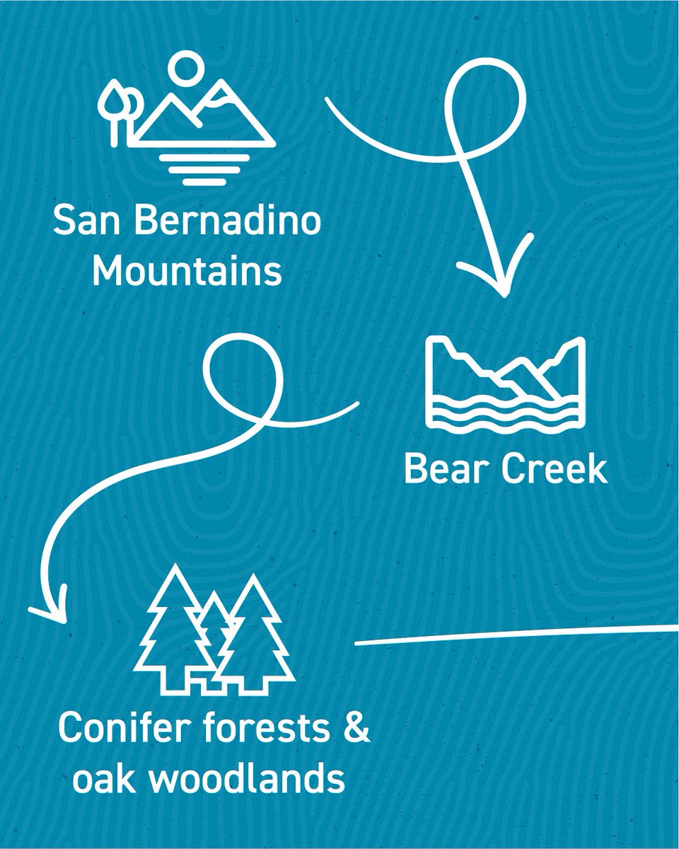 SoCal Tap Water tweet media