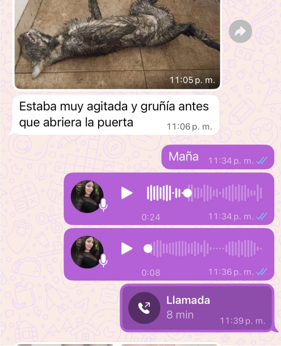 flormfp's tweet photo. Adriel Caminos Ortega asesino de animales. No entendíamos qué pasó con una gatita que fue con él a ser transitada con sus crías y de repente “estaba en el baño agitada y gruñía” acto seguido muerta, dura, mojada. Hace unos días le pasó lo mismo con un gato negro, hijo de mil puta https://t.co/G80Lr4uYtV