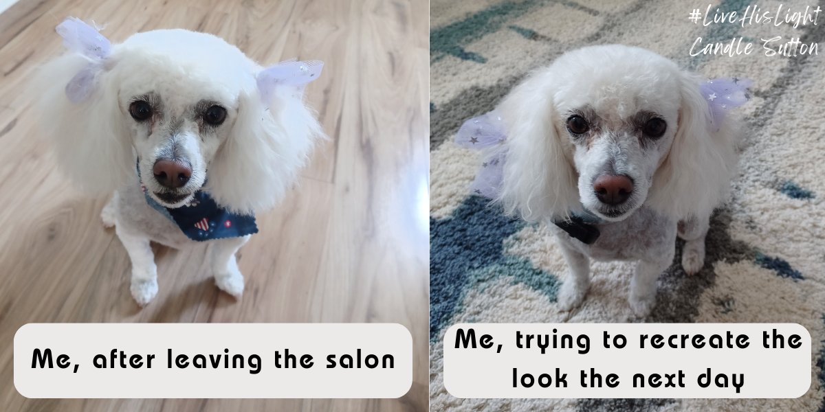 Candle Sutton tweet media