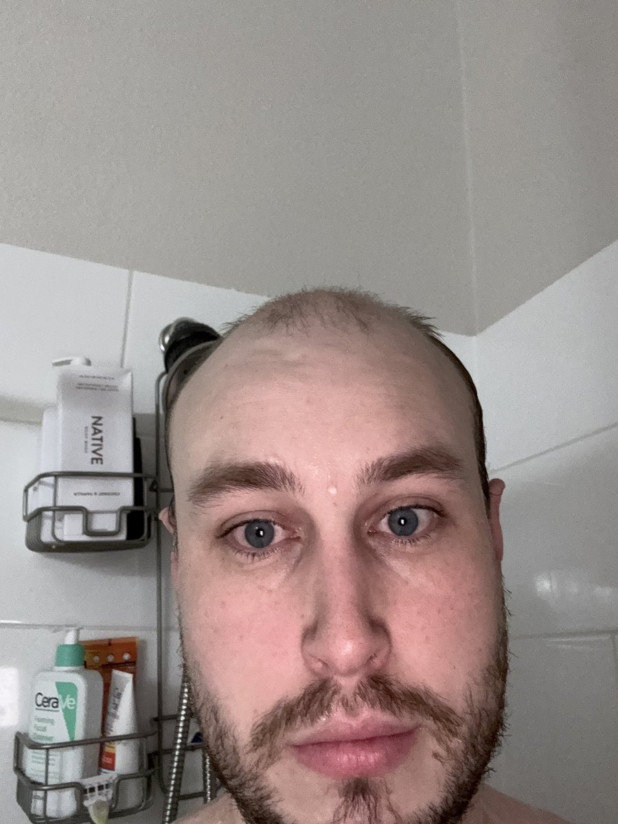 The Lion tweet media