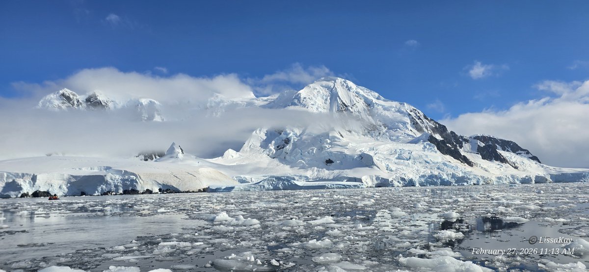 LissaKay - Can't stop the signal, Mal tweet media