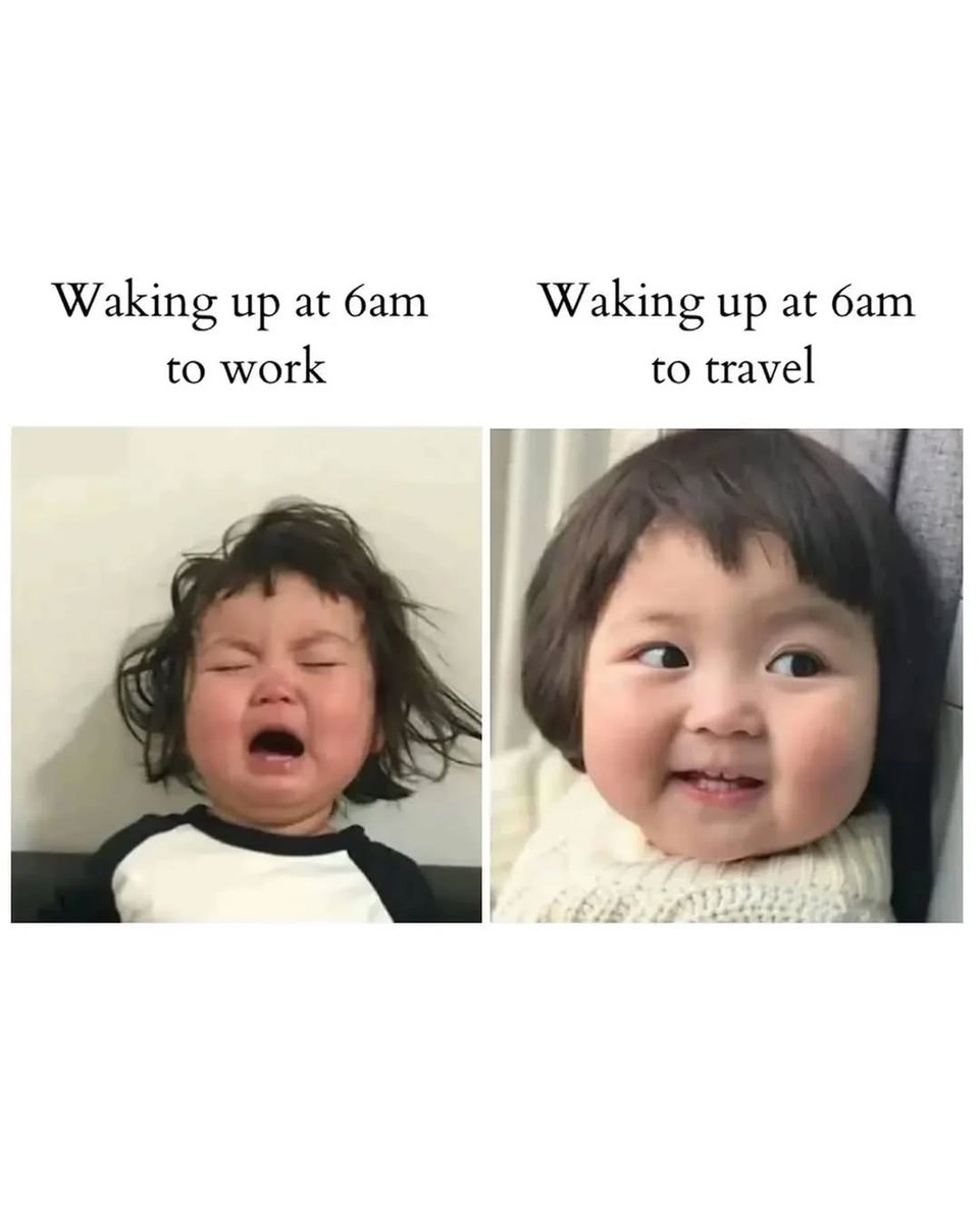 Mind Essentials (@mind_essentials) on Twitter photo 