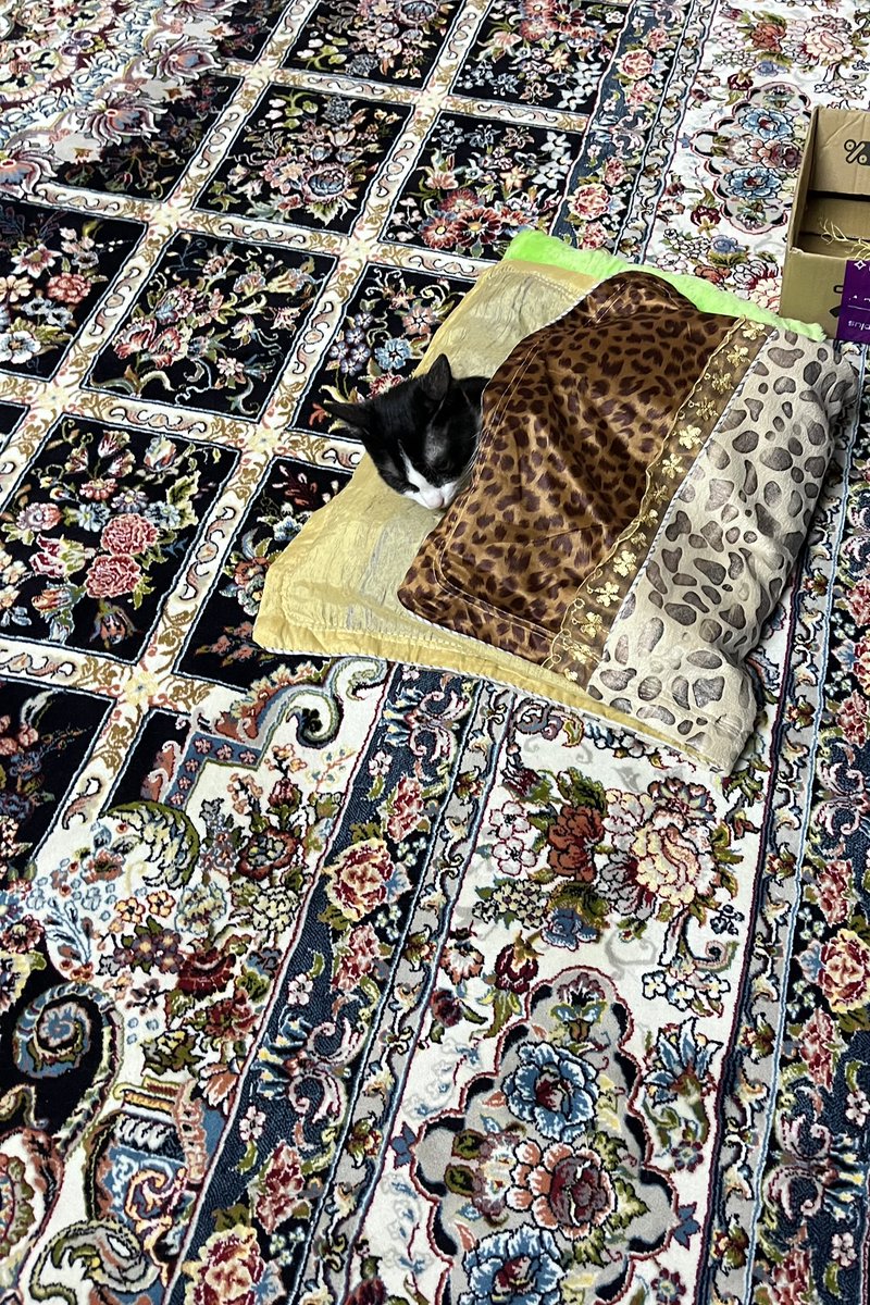 🪼مامان ناز پسر😽 tweet media