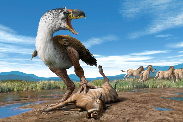 Shu'la✨ tweet media