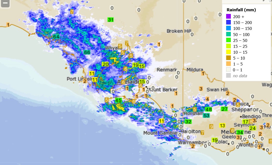 Market Check tweet media