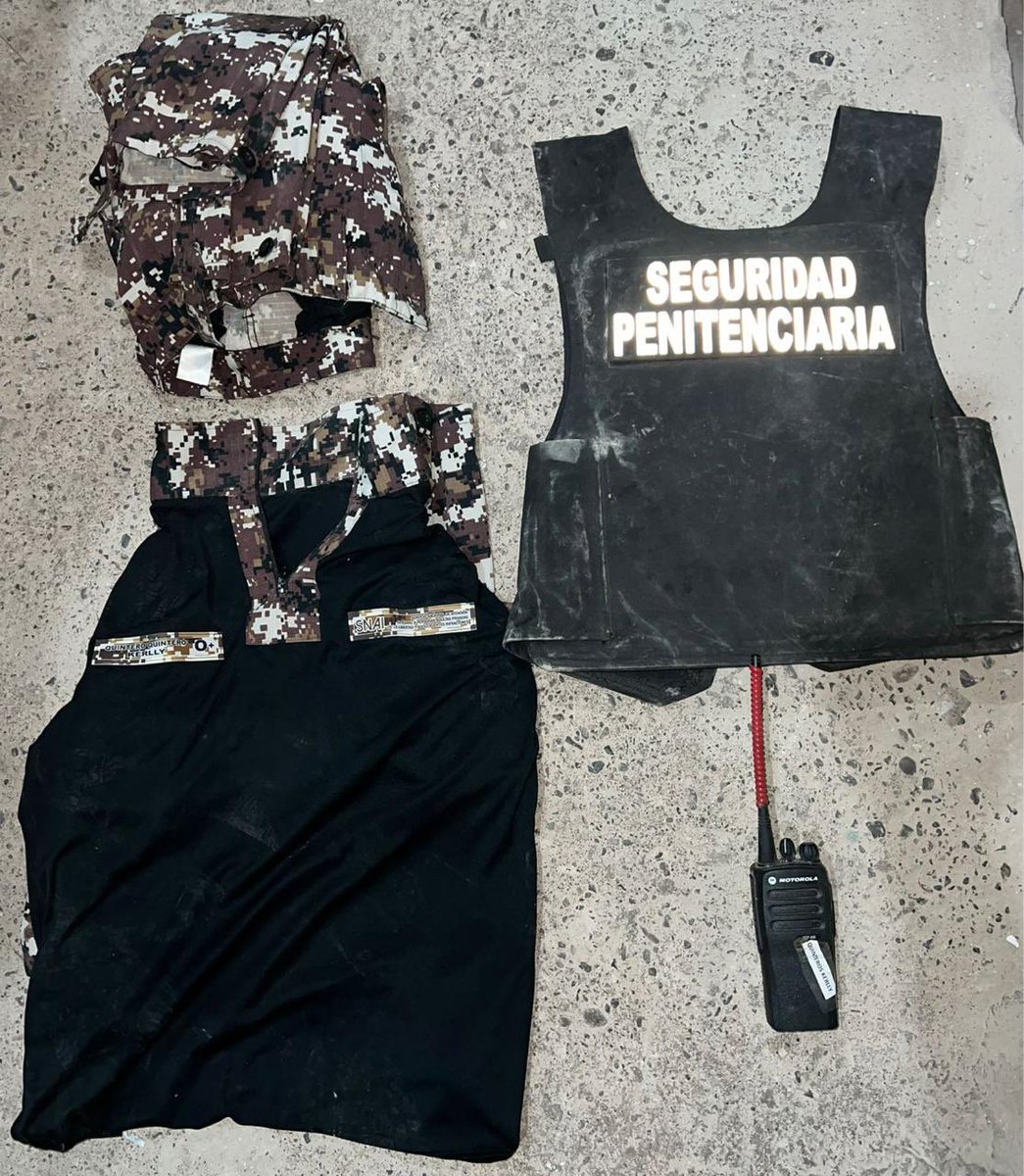 JohnReimberg's tweet photo. GUAYAQUIL 

Y SE LLAMABA ROSARIO:

CAPTURADA ALIAS “ROSARIO TIJERAS” (OBJETIVO CRIMINAL PRIORIZADO) Y OTROS SIETE DELINCUENTES DE “MAFIA GLEN”.

M. O. Crispell, alias “Rosario Tijeras” tenía un rol estratégico dentro de este grupo criminal y persona de confianza -y segunda al mando- de M.O. Glen Abel, alias “Tío Glen”, cabecilla esta banda, que tenía injerencia delictiva en Mapasingue Oeste, donde planificaban y cometían sicariatos, extorsiones, robos a personas y locales comerciales. En dos allanamientos ejecutados por la Policía Nacional en este sector, los inmuebles eran utilizados para el almacenamiento y ocultamiento de armas de fuego, municiones y droga por parte de esta mujer. 

RESULTADOS:

02 inmuebles allanados.
07 personas aprehendidas:
1. M. O. Crispell alias "Rosario Tijeras" 
2. P. M. Maria Kamila
3. S. M. Maria José
4. M. A. Edward Joel
5. L. C. Israel 
6. D. M. Angie Lissette 
7. B. O. Klever Stalyn
01 arma de fuego tipo subametralladora, de fabricación artesanal
01 alimentadora artesanal
01 artefacto explosivo 
04 municiones calibre 45
02 bloques de droga (cocaína presumiblemente)
01 uniforme de Agente de Seguridad Penitenciaria
01 chaleco balístico con una leyenda que dice “Seguridad Penitenciaria”
01 gramera.
01 radio de comunicación
04 vehículos robados

Los aprehendidos y evidencias fueron puestos a órdenes de las autoridades competentes para su debido proceso. 

CERO IMPUNIDAD. SEGUIMOS TRABAJANDO.