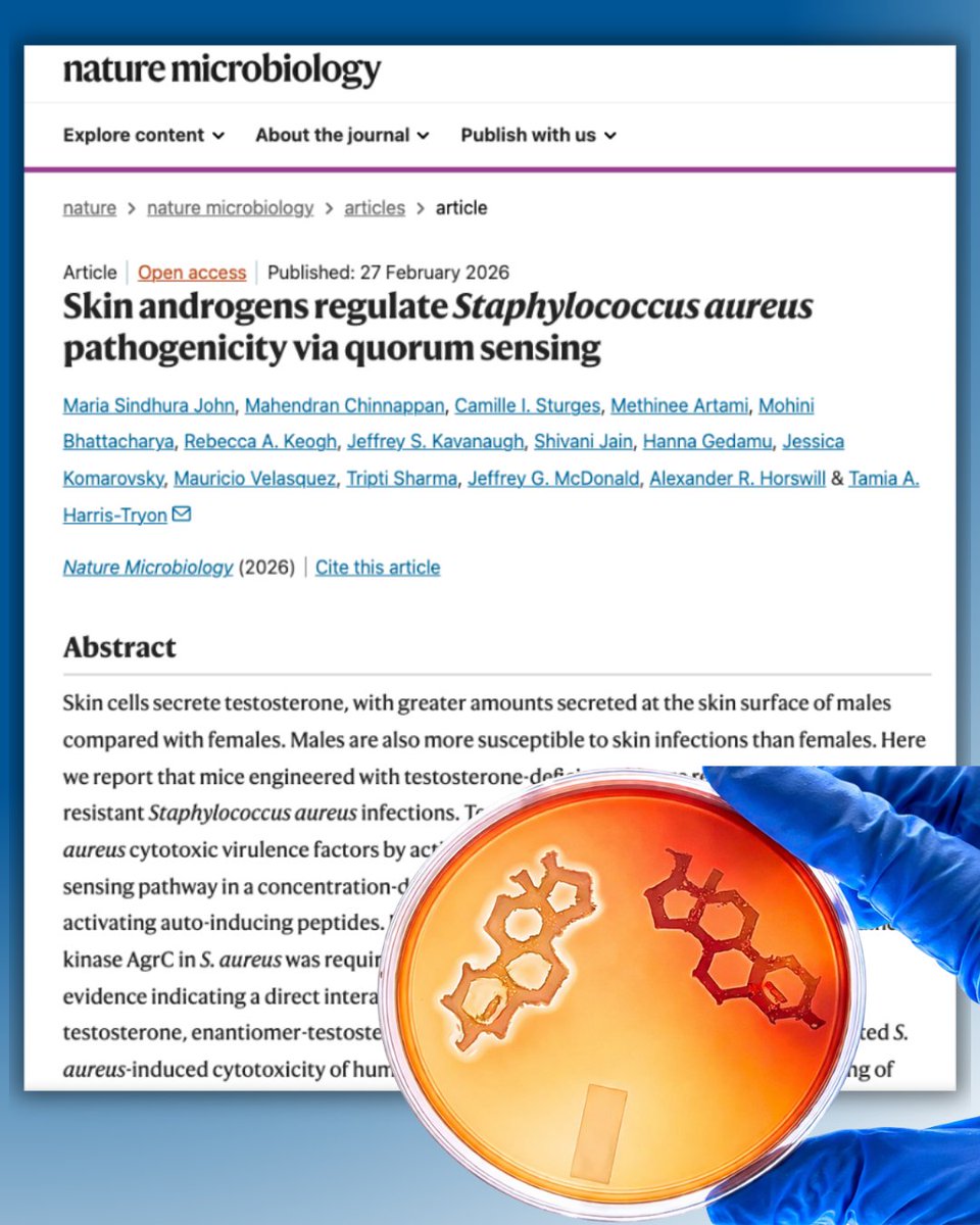 UTSW Dermatology tweet media