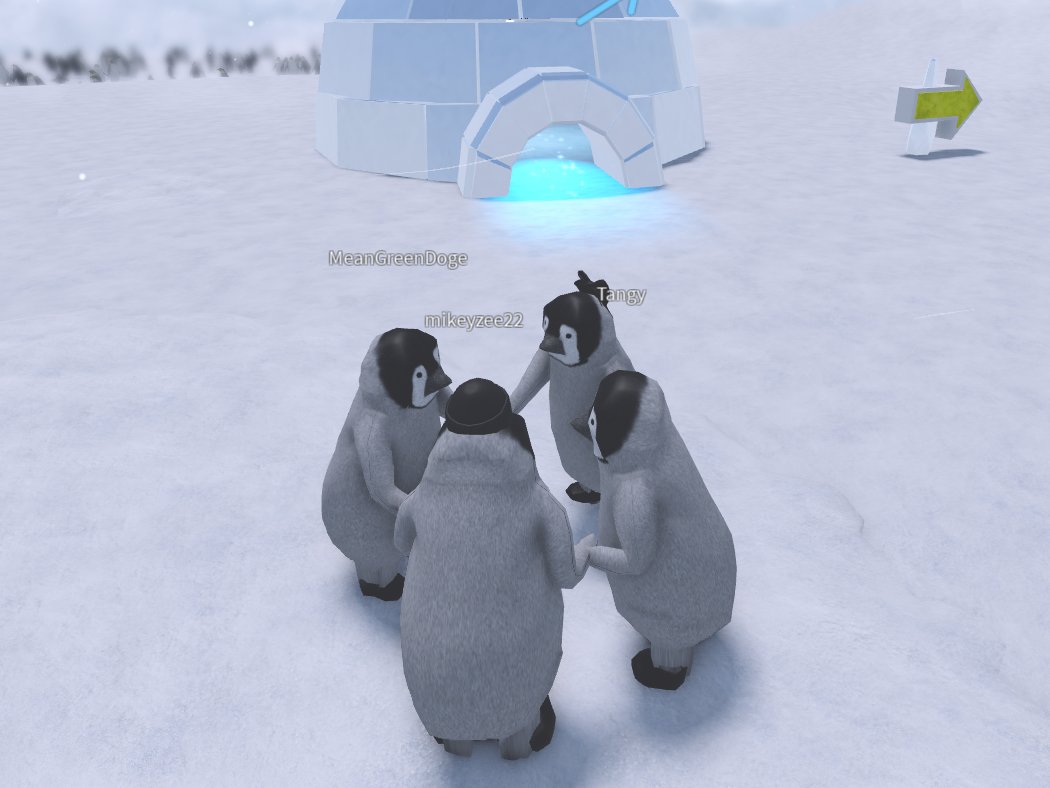 TrippingOut tweet media