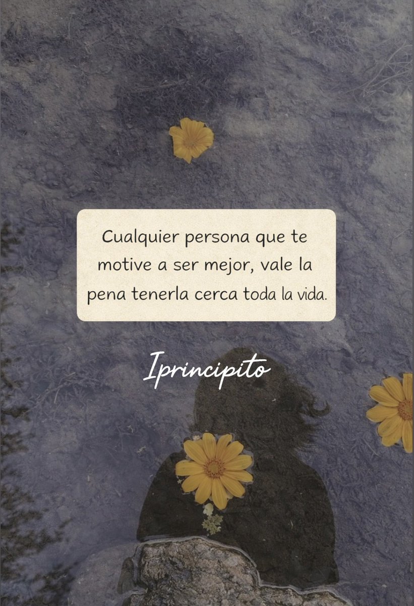 El Principito ✨ tweet media