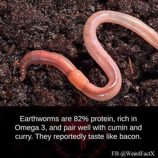 Steve Maley tweet media