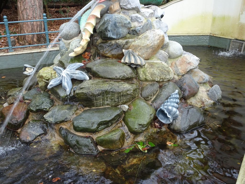 Coshira_'s tweet photo. Na even afwezigheid is één van de schelpen weer terug bij De Kleine Zeemeermin.
Eerste foto is van paar weken terug.
#Efteling #Sprookjesbos #Schelp #DeKleineZeemeermin https://t.co/p3xvtHCdRU