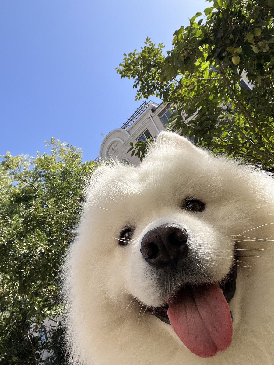 twaniimals's tweet photo. https://t.co/zmyyieCRes