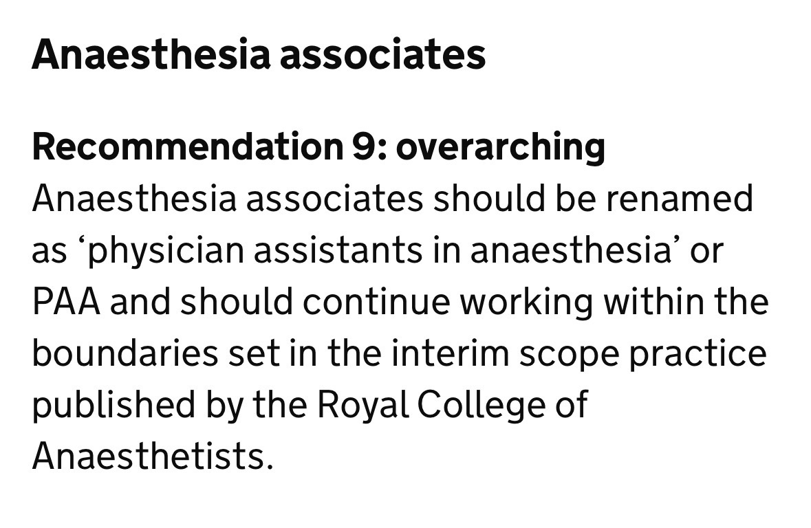 Ramey Assaf tweet media