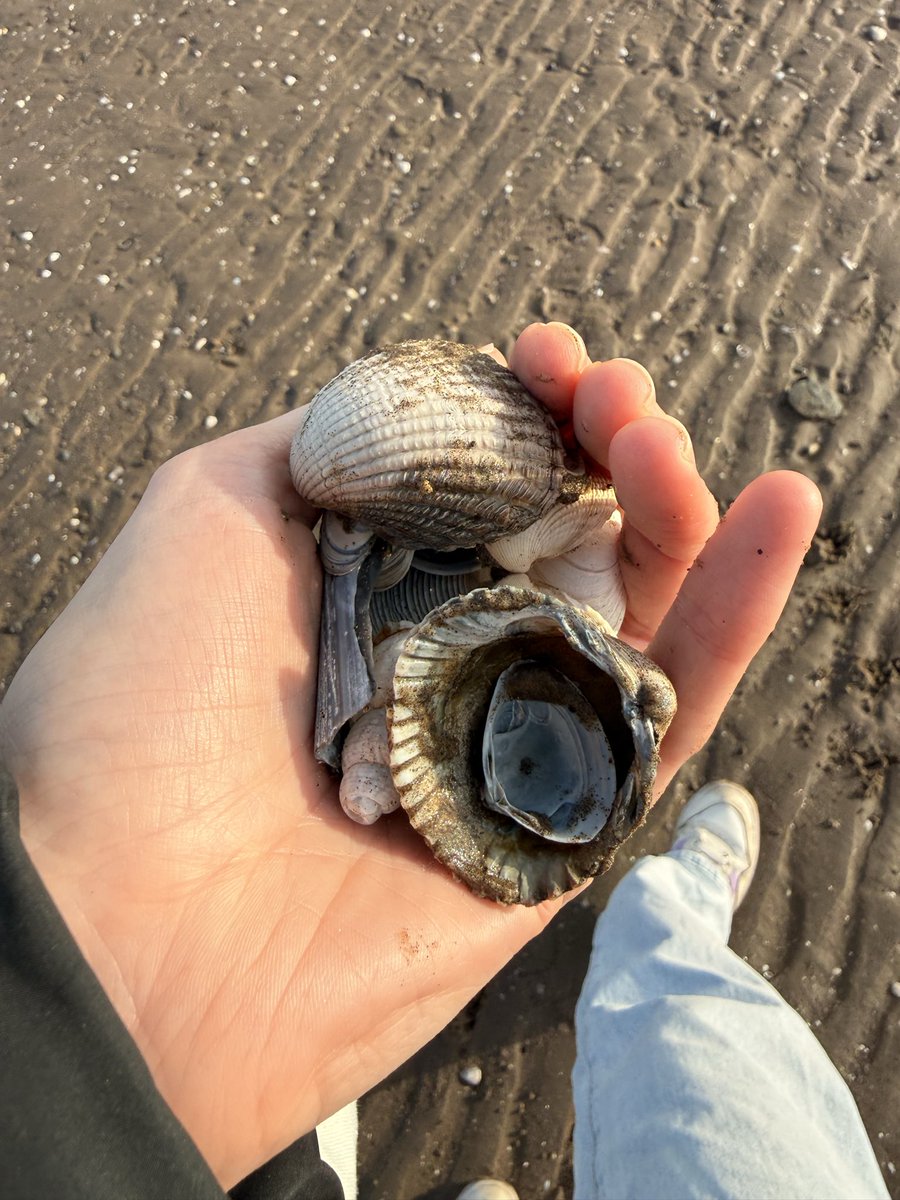 gilly 🪐 tweet media