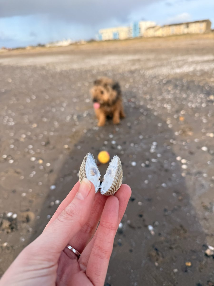 gilly 🪐 tweet media