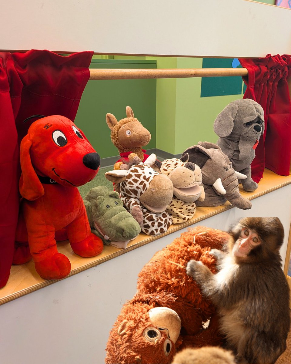 KCMO Public Library tweet media