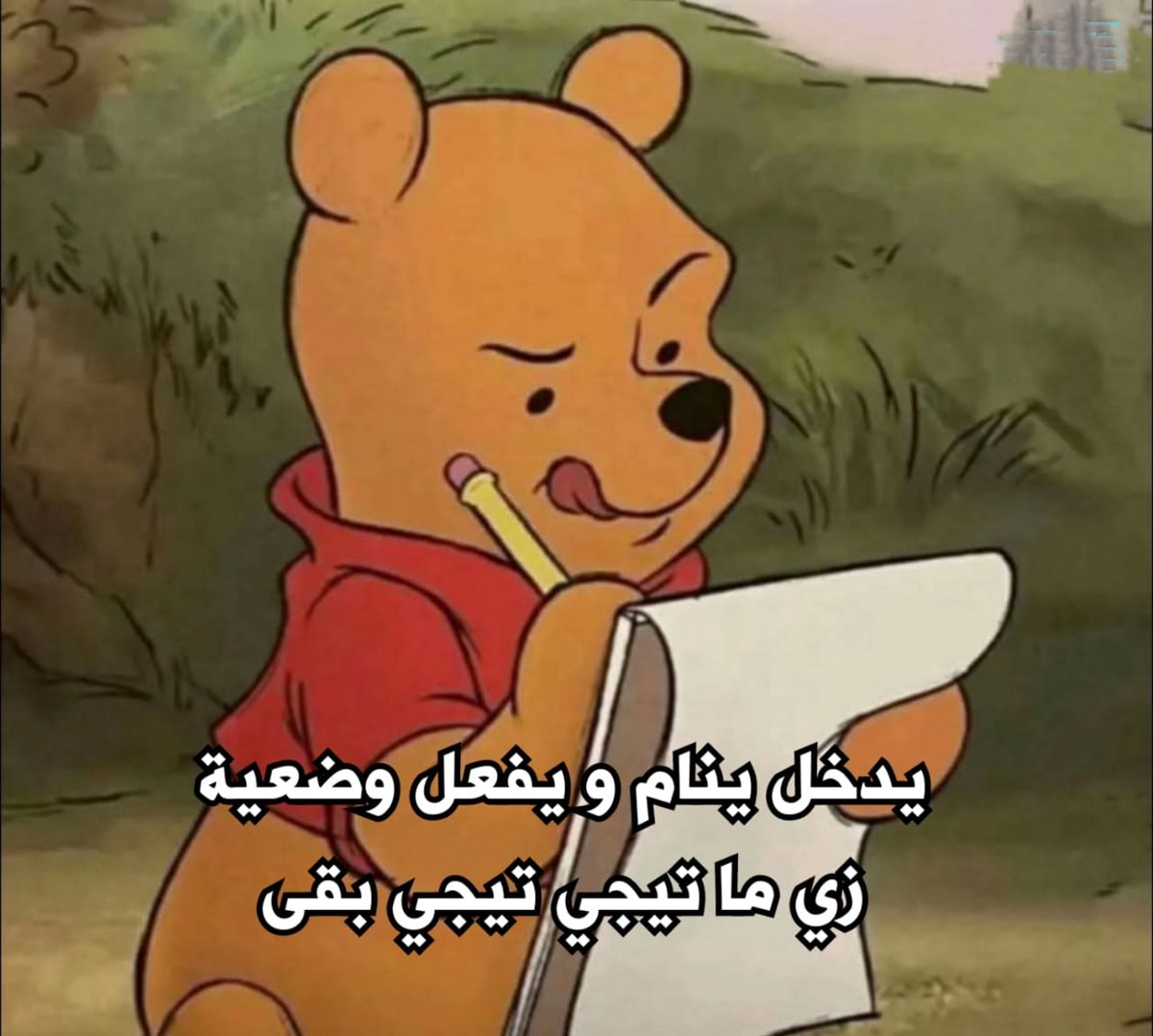 egymeme11's tweet photo. https://t.co/4MuVTp5xwi