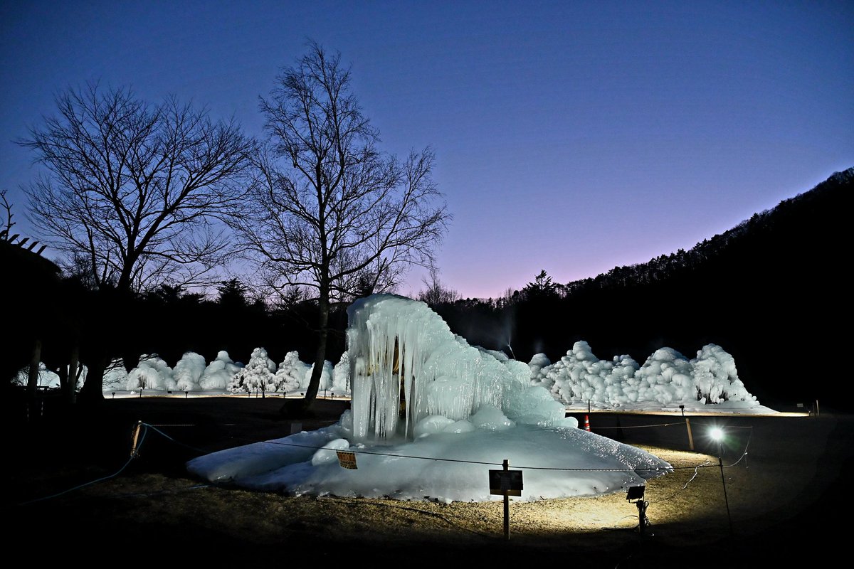 2月を写真4枚振り返る