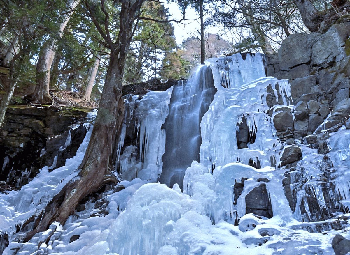 2月を写真4枚振り返る