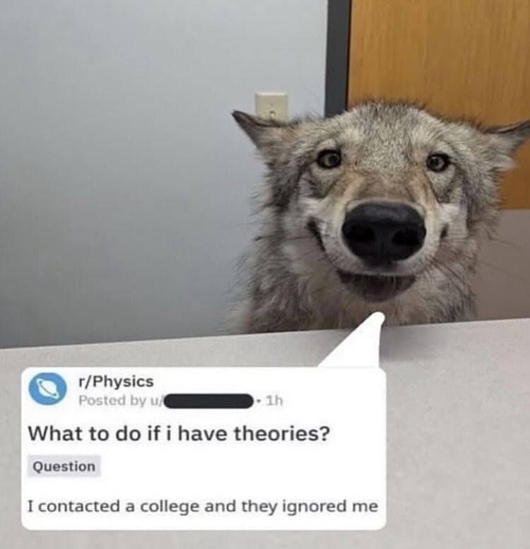 no context memes (@weirddalle) on Twitter photo 