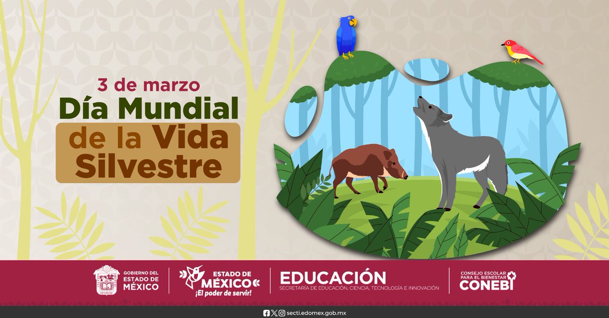 El #DíaMundialDeLaVidaSilvestre🦅🐆🌳es para concientizar sobre sus beneficios y recordar la necesidad de luchar contra los delitos que las amenazan. El lema: “Plantas medicinales y aromáticas: conservar la salud, el patrimonio natural y los medios de subsistencia”🍃
#SomosCONEBI