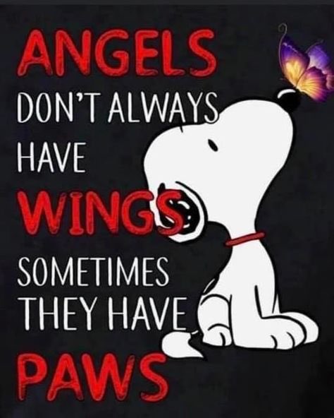 elcaro12363's tweet image. Angels don't always have wings. Sometimes they have paws... but don't forget the claws. 🐾💅 You can't have one without the other. Living in the Now means being soft enough to feel the frequency and sharp enough to hijack it. 🏹8️⃣💜♾️ #DirectEntry #144Hz