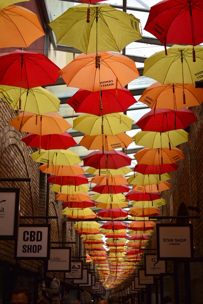 Tony 🇬🇧 tweet media