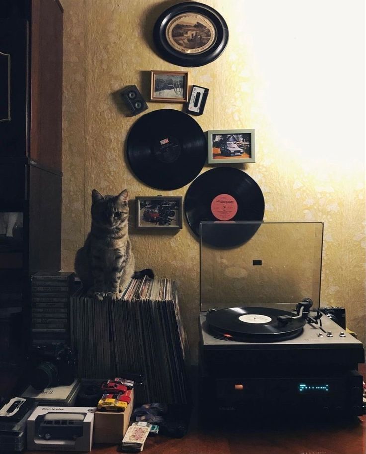 Gianni® tweet media