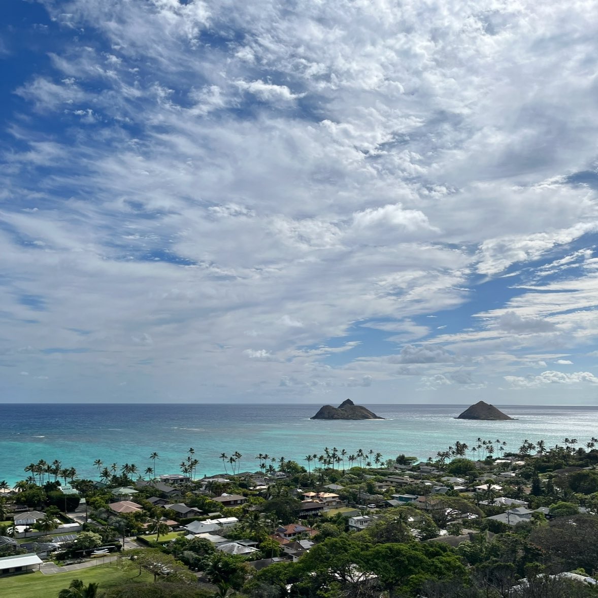 Original God 𒉭 tweet media