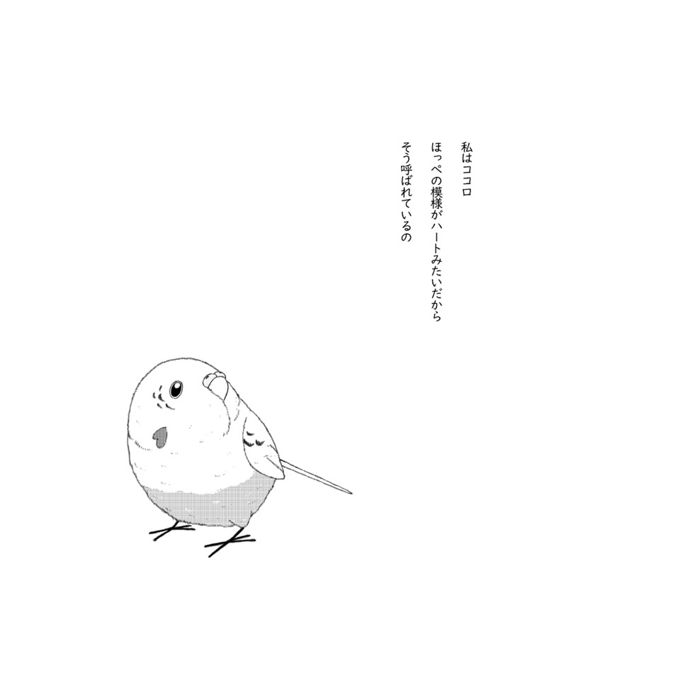Bou_toriartclub's tweet photo. ｢#虹の橋待合所 ～ココロのおはなし～｣
お時間ございましたら是非ご覧くださいませ🐥💖
#虹の橋　#ペットロス　#rainbowbridge　　#セキセイインコ
(1/9) https://t.co/QVlz9g89rQ