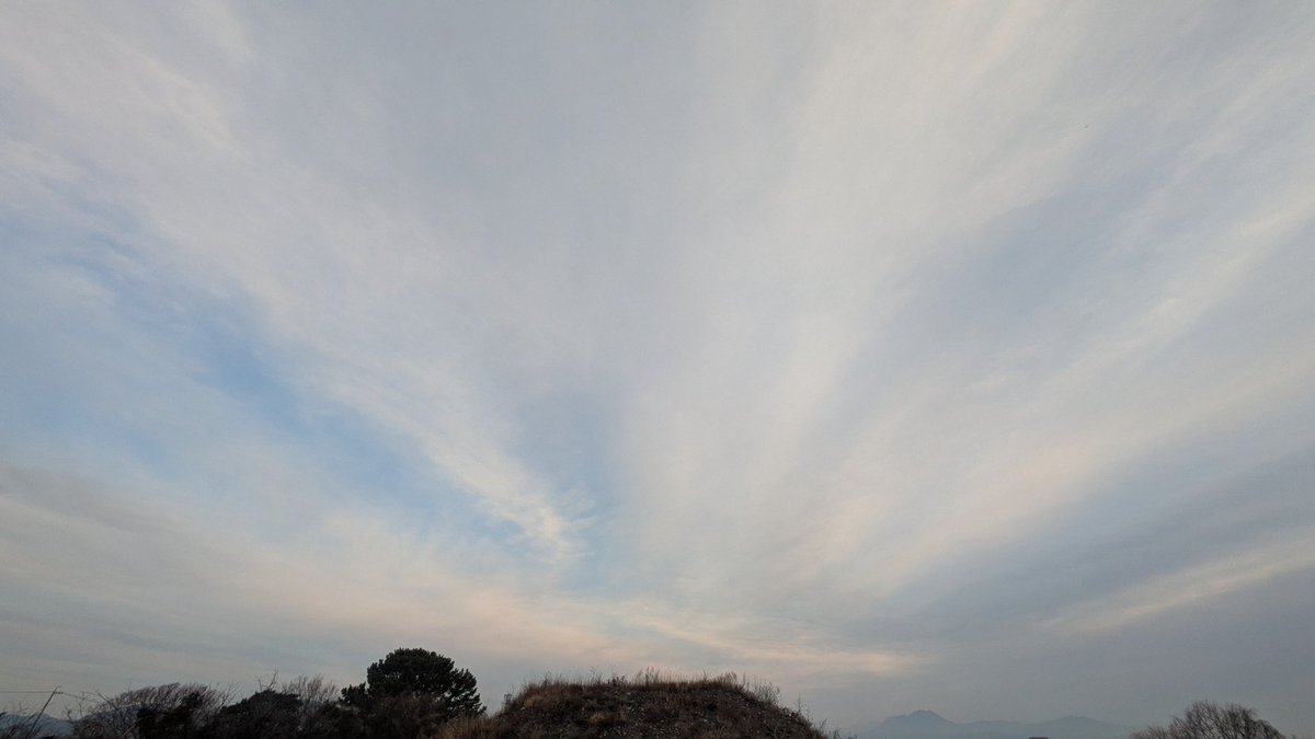 かっぱ (@gokappago) / Posts / X