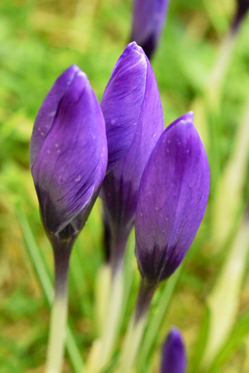 Tony 🇬🇧 tweet media