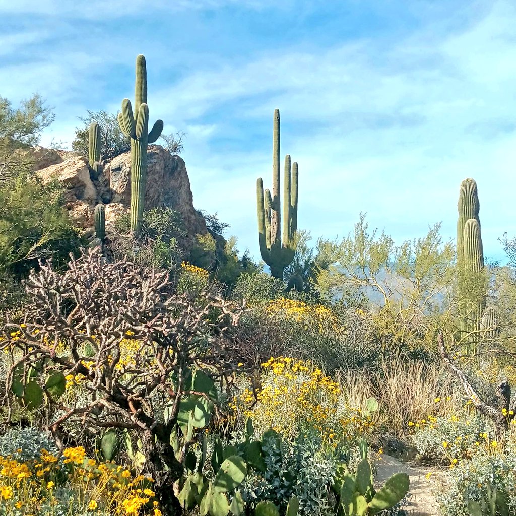 Jules_Atkinson's tweet image. #FridayFeels