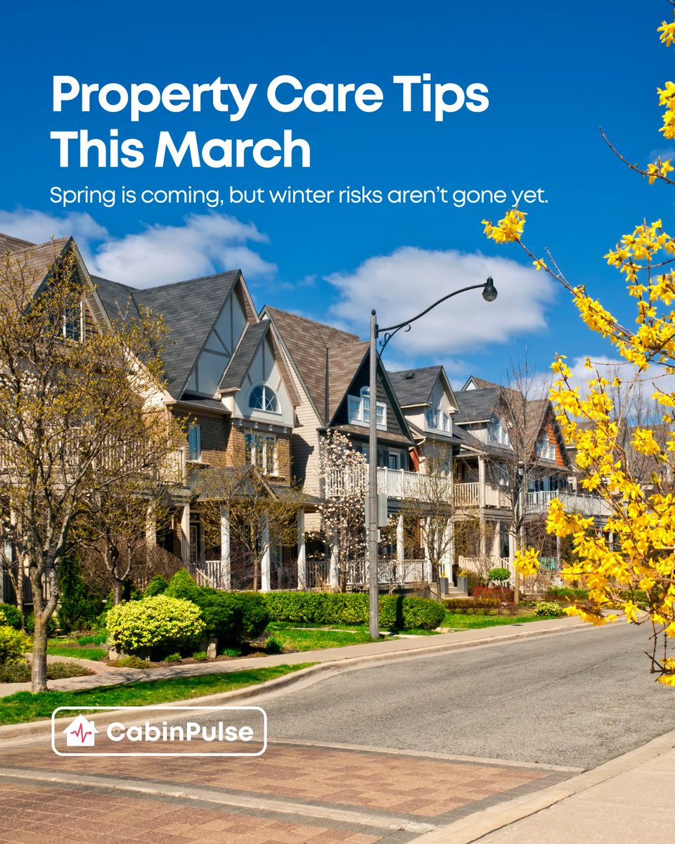 CabinPulse tweet media