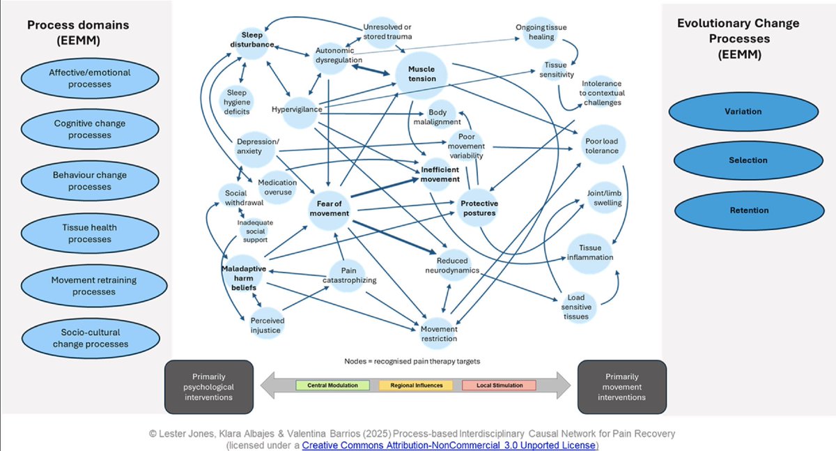myACBS's tweet photo. Could targeting psychological processes within an interdisciplinary framework be the key to more effective, individualized chronic pain recovery? #ProcessBasedTherapy #ChronicPain https://t.co/fgCX0B2PB3 https://t.co/9S4TablD2a