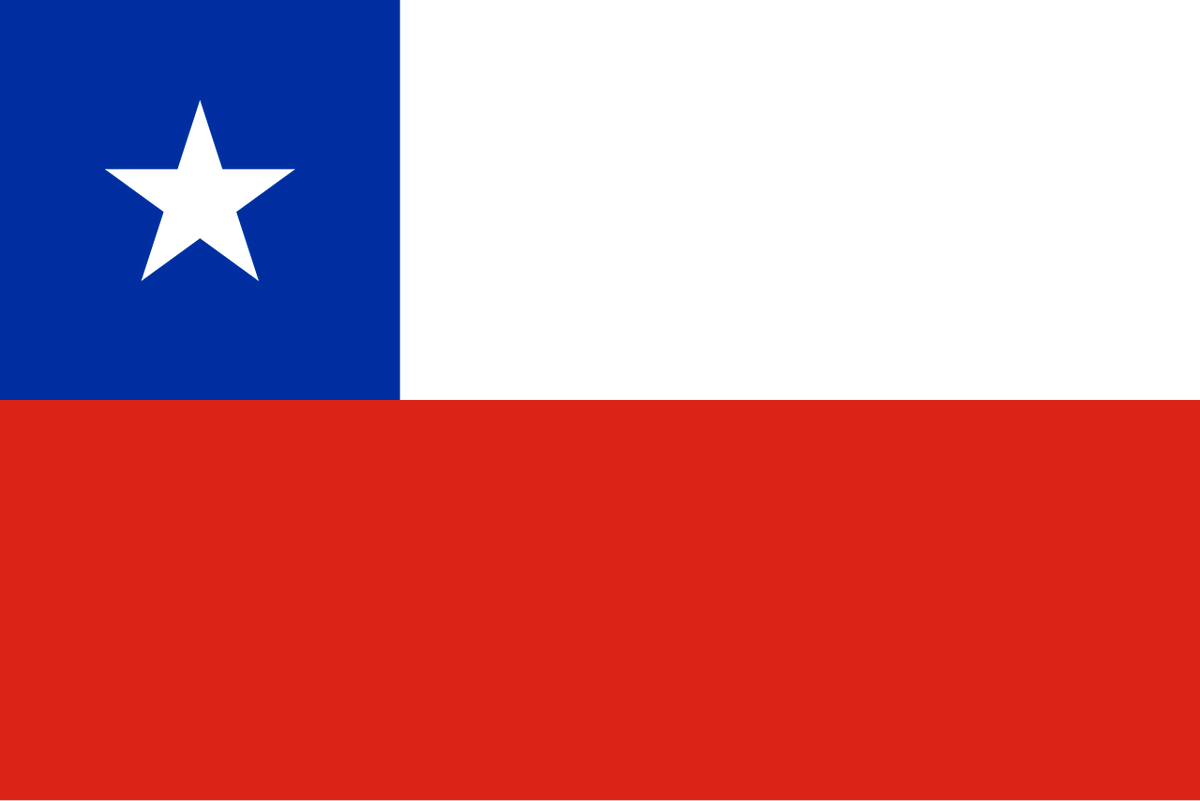 RTired 🇨🇱 CLOSED COMMS tweet media