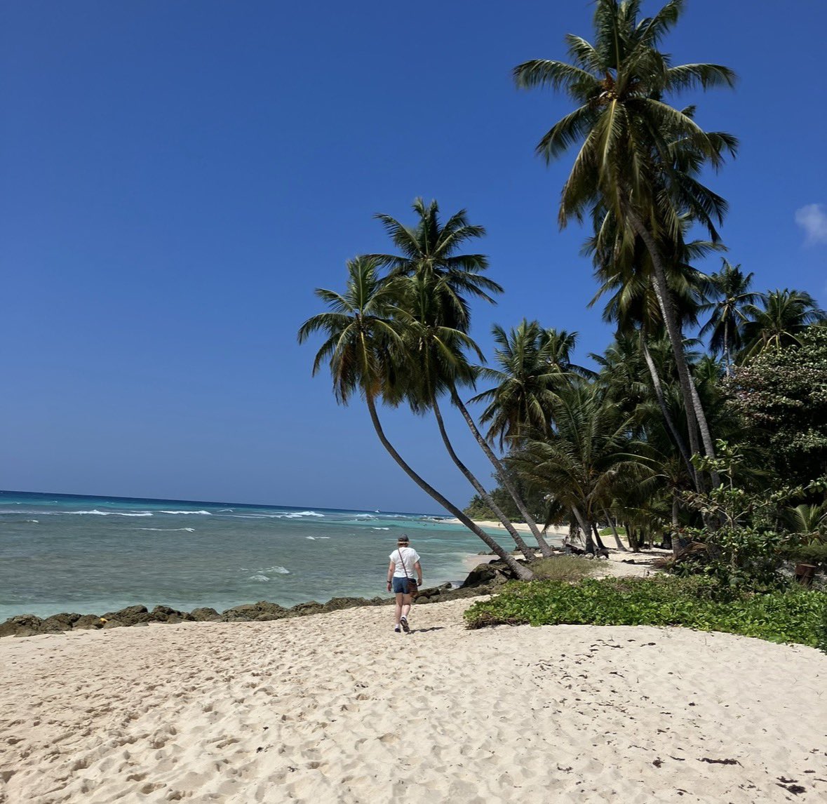 Eclectikmix tweet media