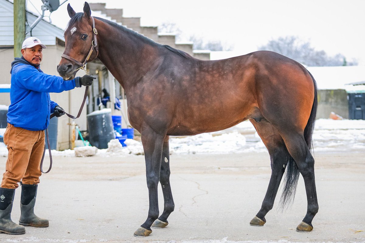 Breakway Farm tweet media