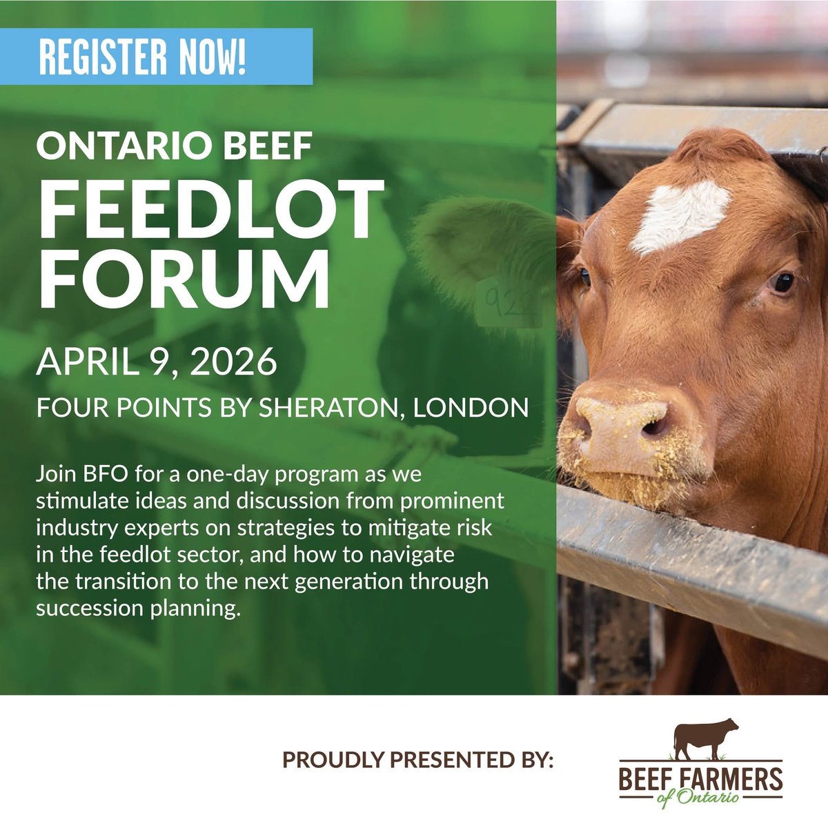 Beef Farmers of Ontario tweet media